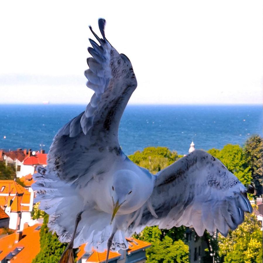 Pokoje Przy Plazy Z Widokiem Na Morze Sopot Exteriör bild