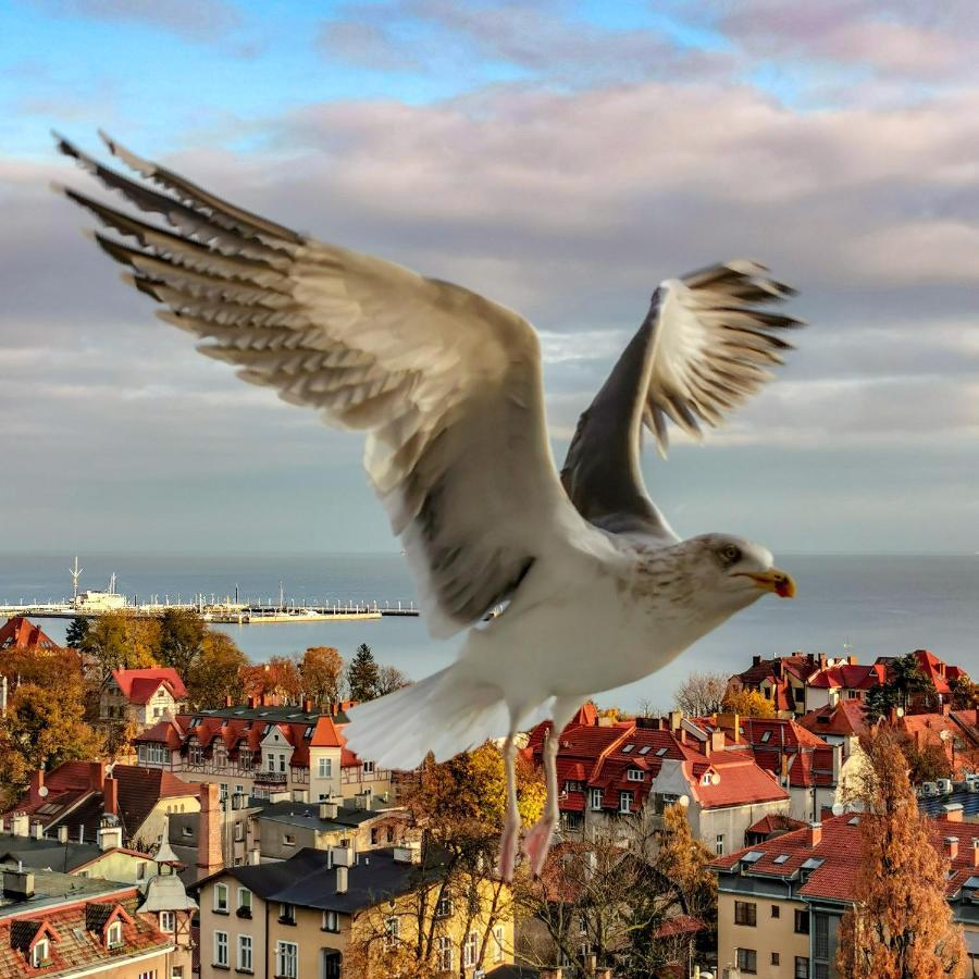 Pokoje Przy Plazy Z Widokiem Na Morze Sopot Exteriör bild