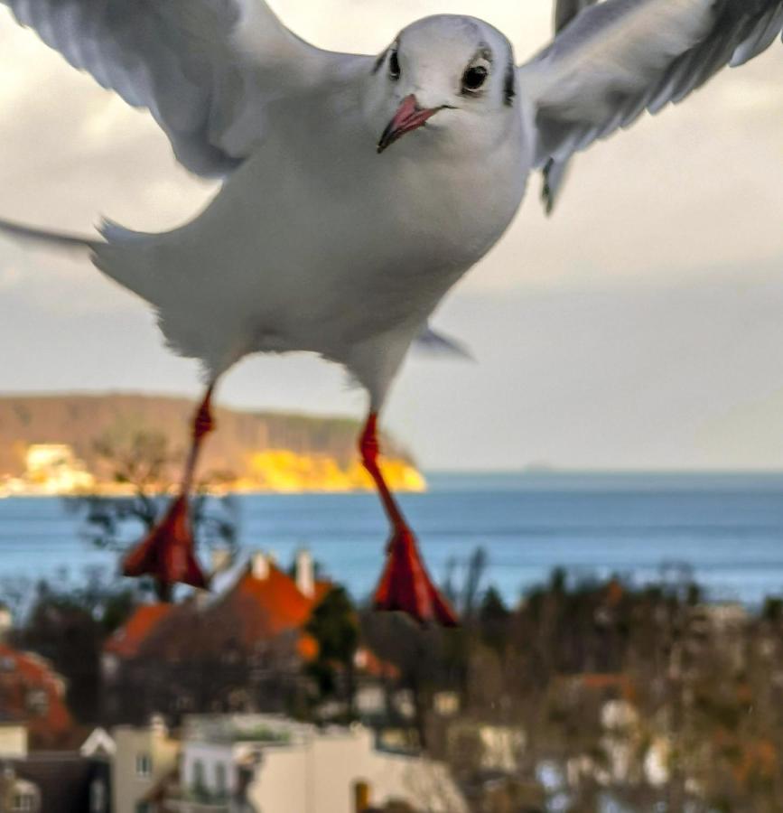 Pokoje Przy Plazy Z Widokiem Na Morze Sopot Exteriör bild