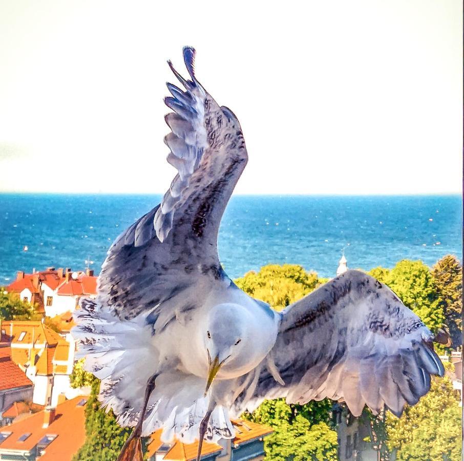 Pokoje Przy Plazy Z Widokiem Na Morze Sopot Exteriör bild